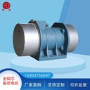 倉(cāng)壁振動(dòng)器PT-MVE2000/3水泥廠用振動(dòng)電機(jī)