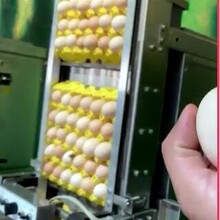 码捷特MAKJET鸡蛋喷码机食品生产日期小字符喷码机