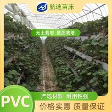 温室基质栽培草莓种植PVC立体高架种植槽