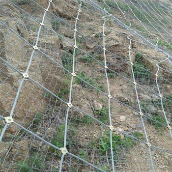 河南APS-075主动防护网山体危岩边坡防护网