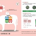 牛羊催肥小料肥油太多去油長(zhǎng)瘦肉包膜胍基乙酸