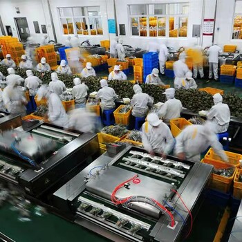 寧夏吳忠出國勞務(wù)加拿大食品廠招電工普工包吃住包機票零費用