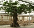 仿真树厂家景观假树订做大型仿真树出售价格