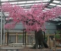 北京玻璃鋼假樹訂做廠家造型仿真樹制作價格