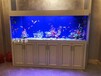 嘉興定制魚缸各種風格墻內魚缸設計