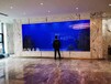 江阴鱼缸供应商定做超白鱼缸嵌墙式鱼缸水族工程