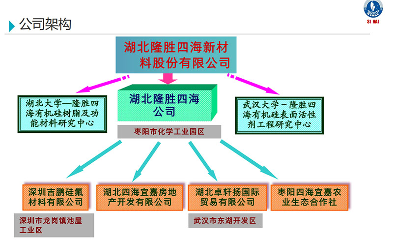 隆勝四海公司組織架構(gòu)