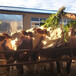 西门塔尔300斤的小公牛多少钱