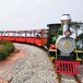 公園景區觀光小火車整體游樂園打造訂制金耀軌道小火車