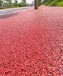 贵州毕节承接透水混凝土彩砼透水路面材料与施工公司