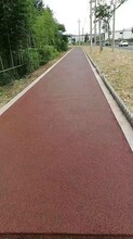 徐州國家濕地公園環保透水砼透水混凝土路面鋪裝新材料圖片