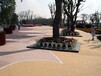 大同植物园彩色混凝土地坪工程天然露骨料透水路面应用施工