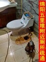 綿陽游仙區(qū)五里堆附近廁所疏通馬桶疏通開元中學(xué)附近通下水道