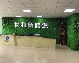 深圳世能和电子有限公司