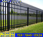 东莞小区围墙护栏包安装氟碳漆厂房围墙栏杆潮州工地护栏现货