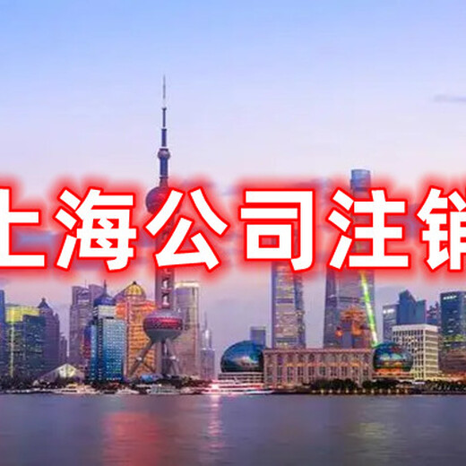 上海公司注销公司简易注销上海股东变更
