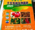 遼寧丹東草莓大豆有機肥發酵大豆生物菌肥生根壯苗抗重茬
