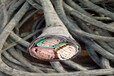 哈爾濱電纜回收(哈爾濱電纜回收過磅付款)