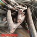 邵東電纜回收—礦用電纜回收價格咨詢