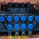 ZS1-L25E-T/OOOO多路換向閥淮安液壓件機(jī)械四聯(lián)