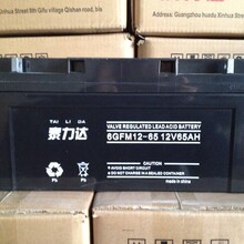 泰力达6GFM12-6512V65AH电池蓄电池UPS电池UPS蓄电池