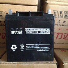 泰力达6GFM12-2412V24AH电池蓄电池UPS电池UPS蓄电池