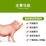 小猪拉肚子怎么办猪用益生素产品详情