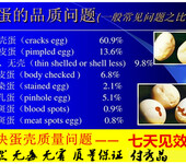 蛋鸡软壳蛋解决办法用蛋鸡添加剂