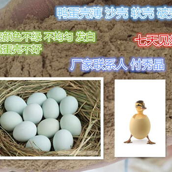 蛋鸭畸形蛋薄壳蛋怎么回事用壳红素