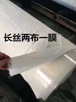 水渠防渗膜水渠防渗水的