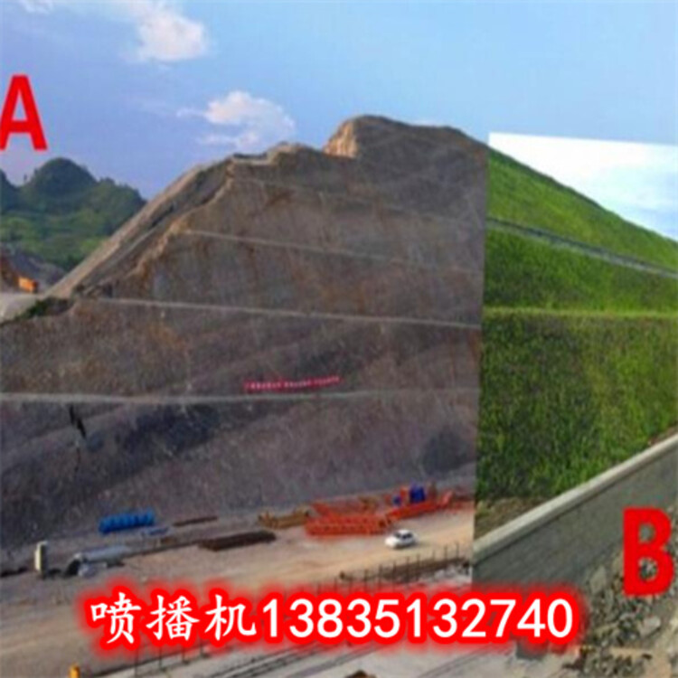 1635297645076044400-2.jpg@750w_750h_90Q