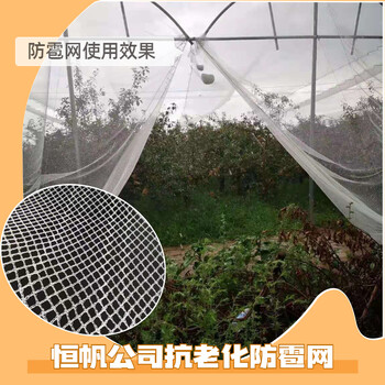 山西苹果防雹网小眼防雹网铺设常用尺寸耐晒图片