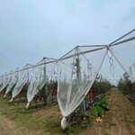 蔬菜防雹网厂家16米宽防雹网塑料编织菱形孔可用于西瓜地