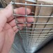 信阳304材质电焊网机电城丝网经销处河南不锈钢焊接网30米/卷