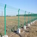 湘潭双边铁丝网浸塑双边护栏网草绿色1.8米高凯美丝网经销