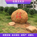 湖南大型景观黄蜡石郴州乡村园林石多种规格