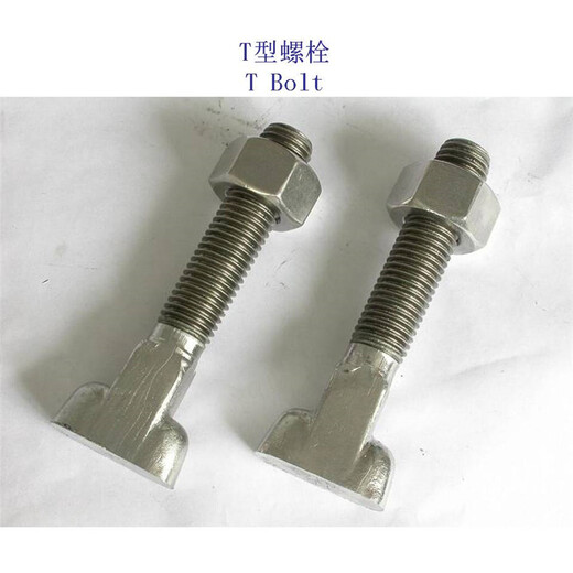 上海不锈钢T形螺栓、5.8级T型螺杆供应商