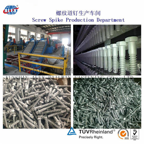 上海高碳钢螺旋道钉、Ss23木螺纹道钉公司