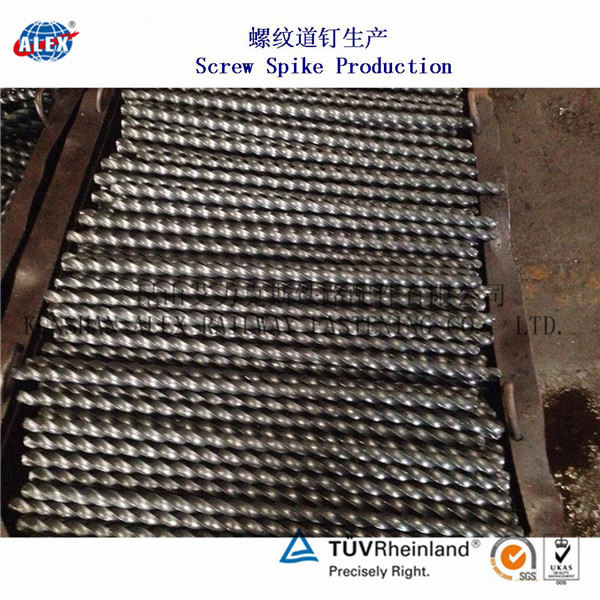 宁夏中碳钢螺旋道钉、Ss25木螺纹道钉制造厂家