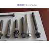 河南9.8級螺旋道釘、35CrMo木螺紋道釘生產廠家