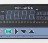 D808智能数显温度，压力，长度多回路温度巡检仪AC220V