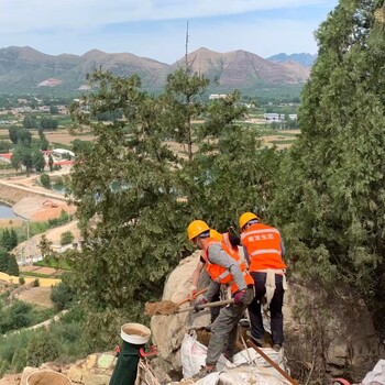 国土绿化_城市绿化_四旁绿化_道路绿化