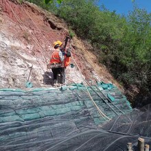 边坡绿化-高速公路绿化-城市绿化-护坡绿化