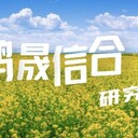 中國(guó)渣油加氫行業(yè)市場(chǎng)前瞻及未來(lái)發(fā)展趨勢(shì)預(yù)測(cè)報(bào)告2022-2027年