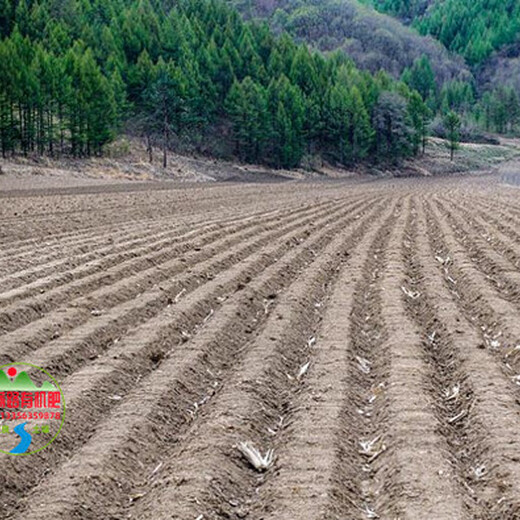 广西贺州北京市昌平干鸡粪促进土壤生物修复