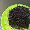 鄭州魚(yú)苗批發(fā)新密魚(yú)苗登封魚(yú)苗供應(yīng)鯉魚(yú)苗草魚(yú)苗鰱魚(yú)苗