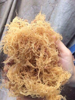 玫瑰茄進(jìn)口清關(guān)操作流程及注意事項(xiàng)詳解