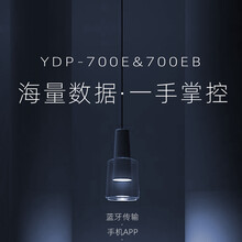 YDP-700E/700EB温度记录仪