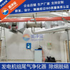 發(fā)電機組尾氣凈化器