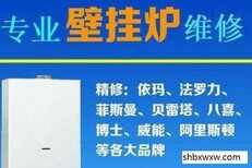 博世壁挂炉售后维修全国400服务热线（24小时报修咨询中心）图片0